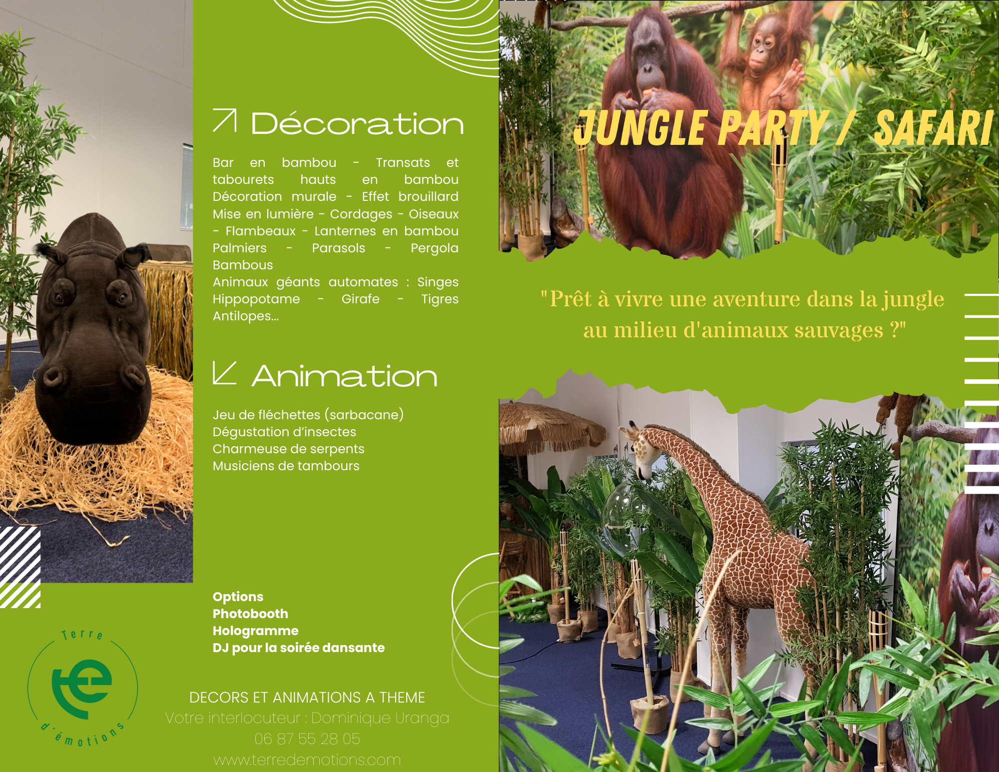 décors, scénographie et animations thème jungle party safari